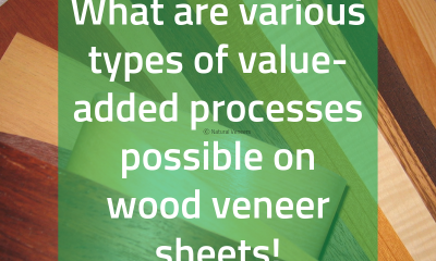 What are various types of value-added processes possible on wood veneer sheets!
