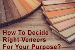 How To Decide Right Veneers For Your Purpose??
