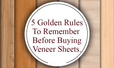 5 Golden Rules To Remember Before Buying Veneer Sheets.