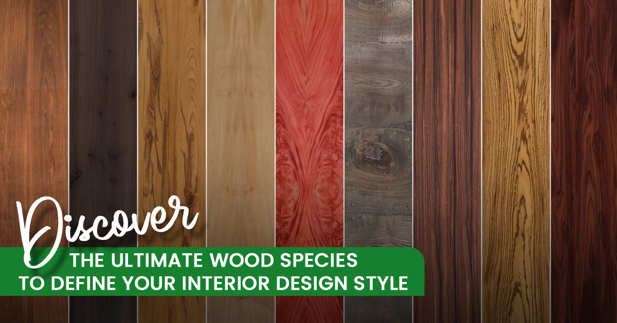discover the ultimate wood species to define your interior design style