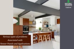 Various Types Of Problems Associated With Veneer Panels & Applications